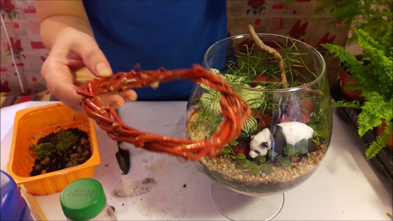 Флорариум для начинающих