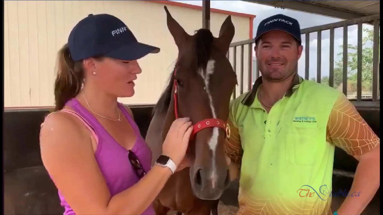 TheStable.ca Australian Speaking Tour - Recap Video