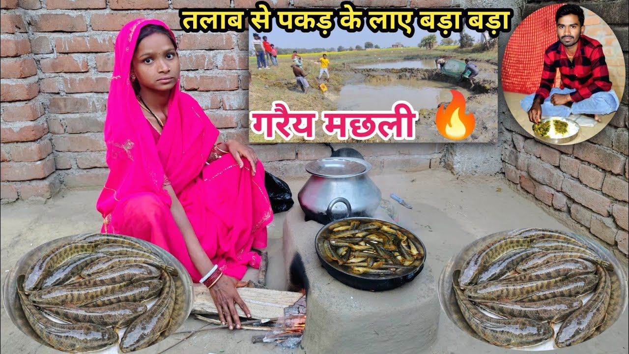 तलाब से पकड़ के लाए बड़ा बड़ा गरैय मछली 🔥 | #kapilaartivlogs 