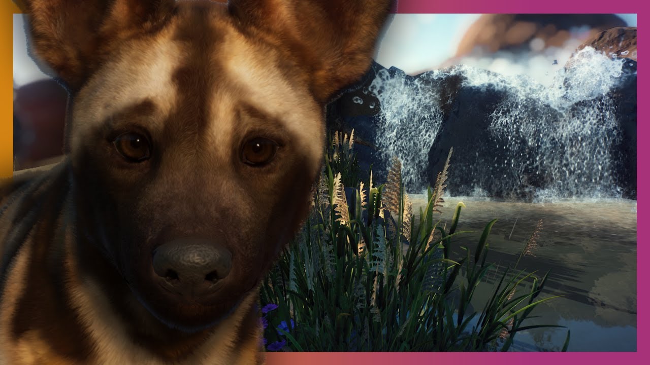 🦁 Wild Dogs & Waterfalls | Planet Zoo Beta