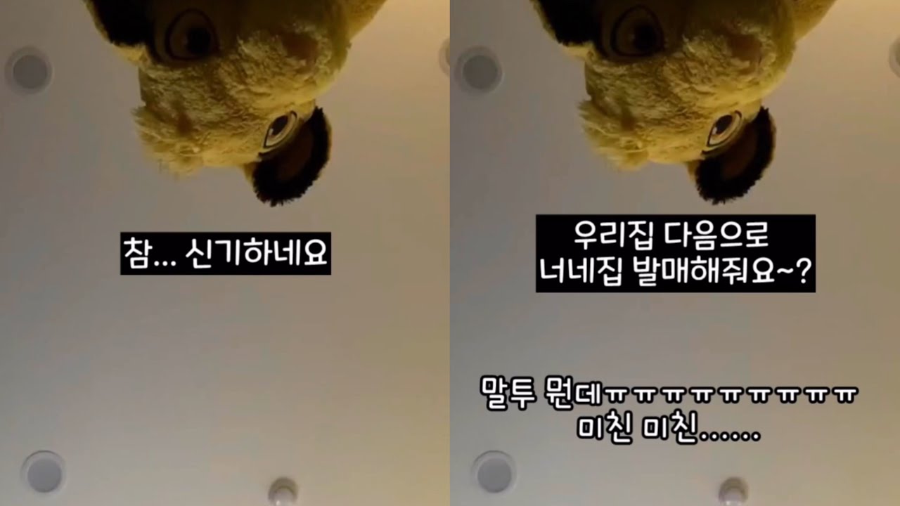 [라방클립] 우리집 역주행에 대한 준호의 반응 / 200205 인스타 라방