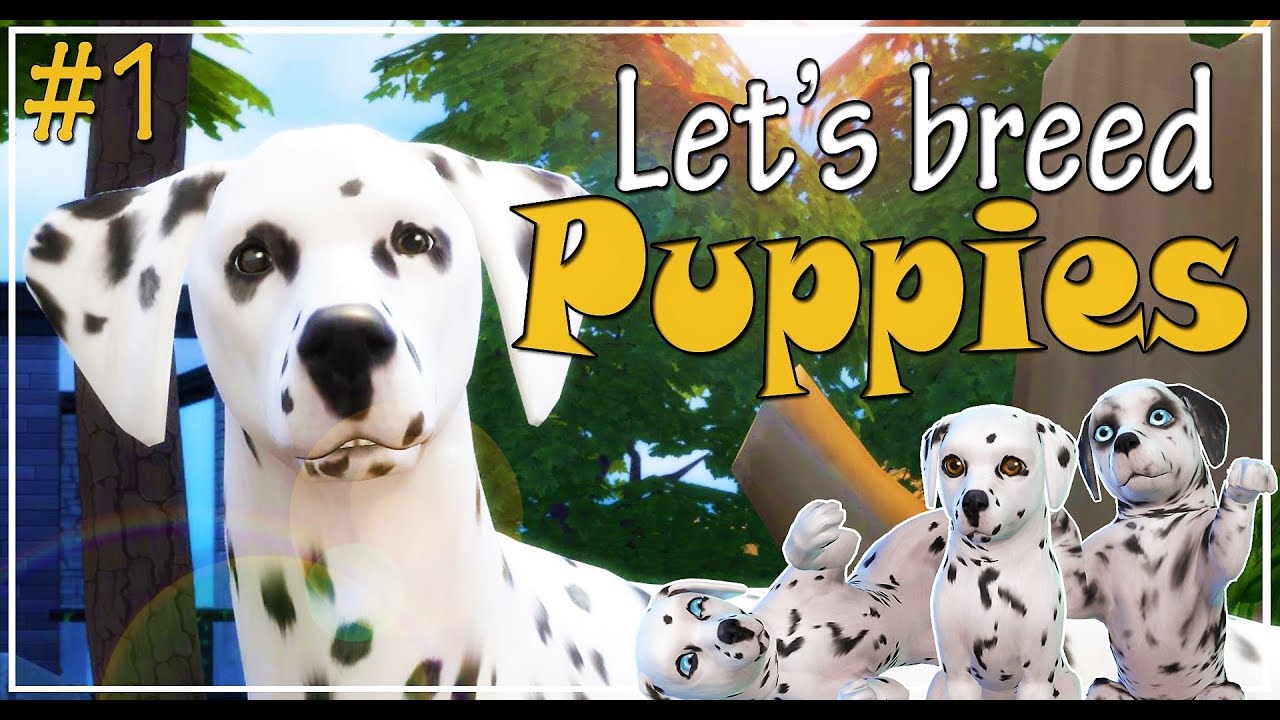 🐶 The Sims 4 Cats and Dogs | Let's play and breed Dalmatian puppies | We are pregnant! | Ep. 1