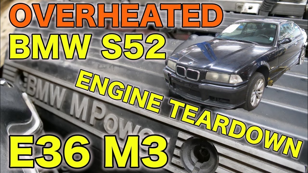 BMW E36 M3 S52 Engine Teardown! THIS? You Parked Your Car In the Weeds For Years Over This?