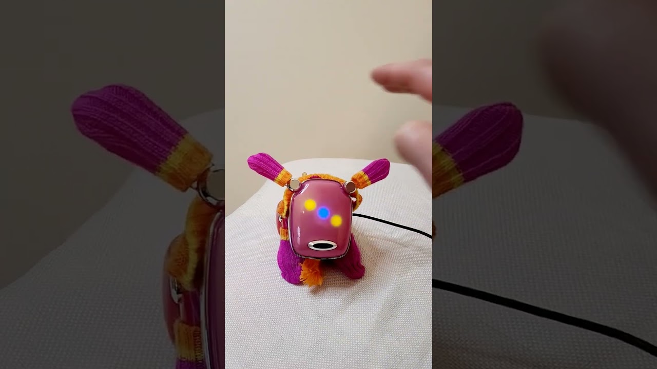 2005 IDog Test Run