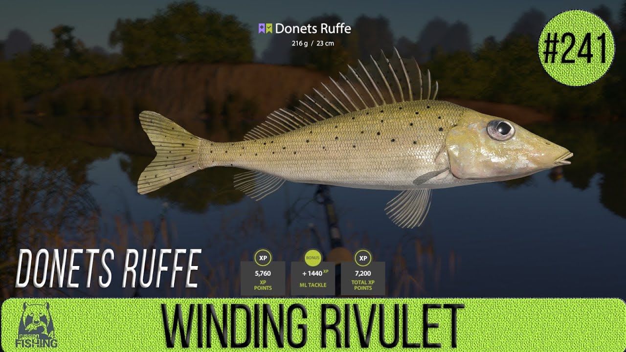 Russian Fishing 4 - Winding Rivulet - Donets Ruffe - #241