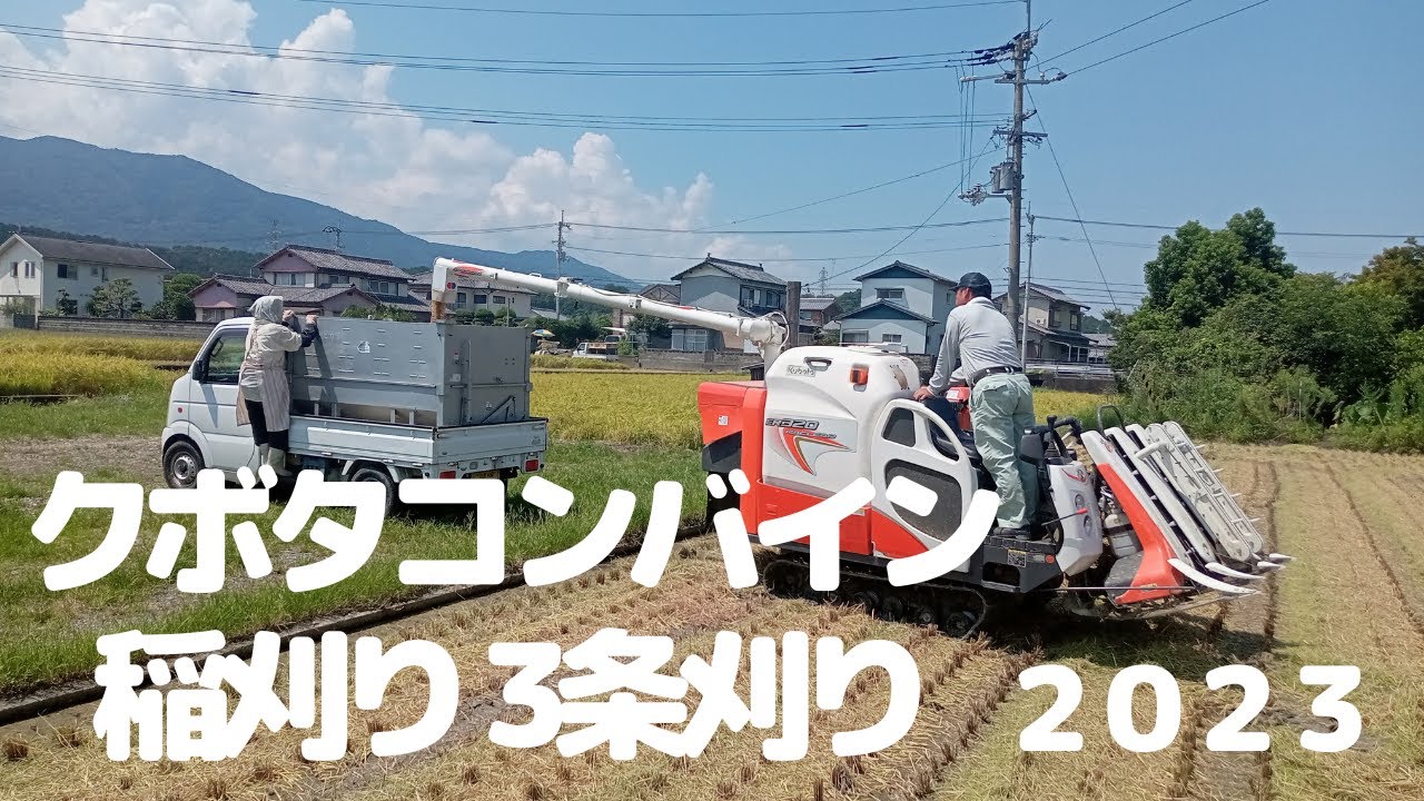 クボタコンバイン稲刈り|3条刈り|猛暑で倒れたご主人
