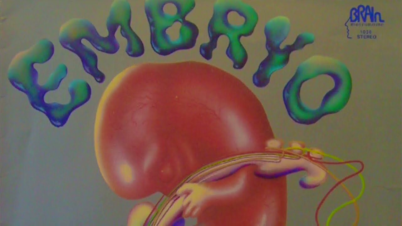 Embryo ~ Entrances