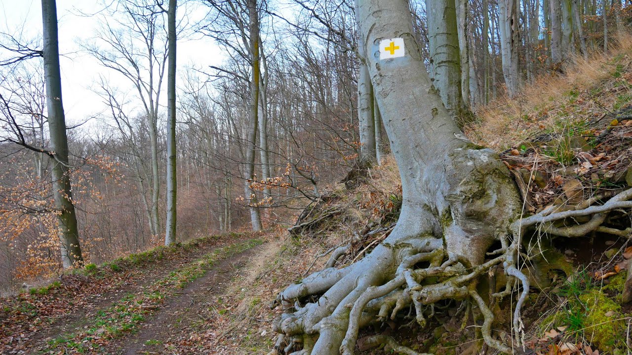 Börzsönyi Tolmácsolás