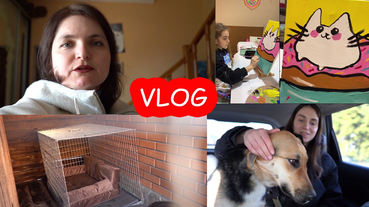 VLOG Обустраиваем вольер для Леди. Показали её ветеринару