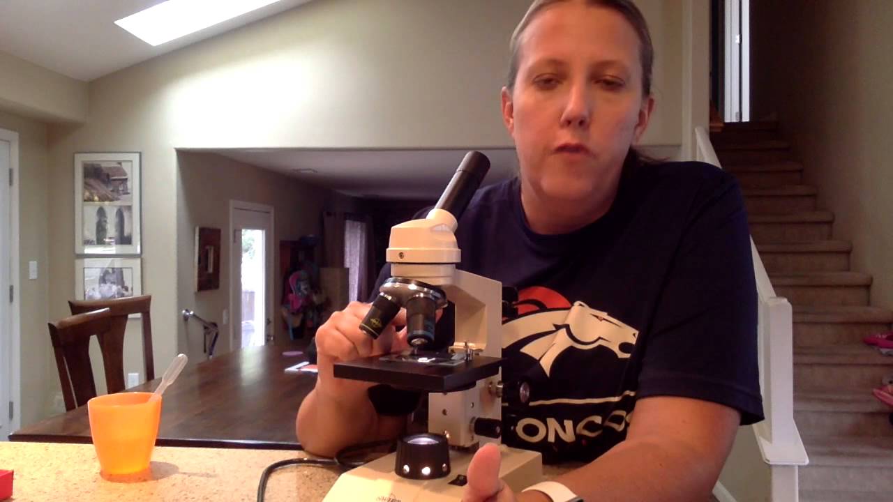 How to use a compound microscope