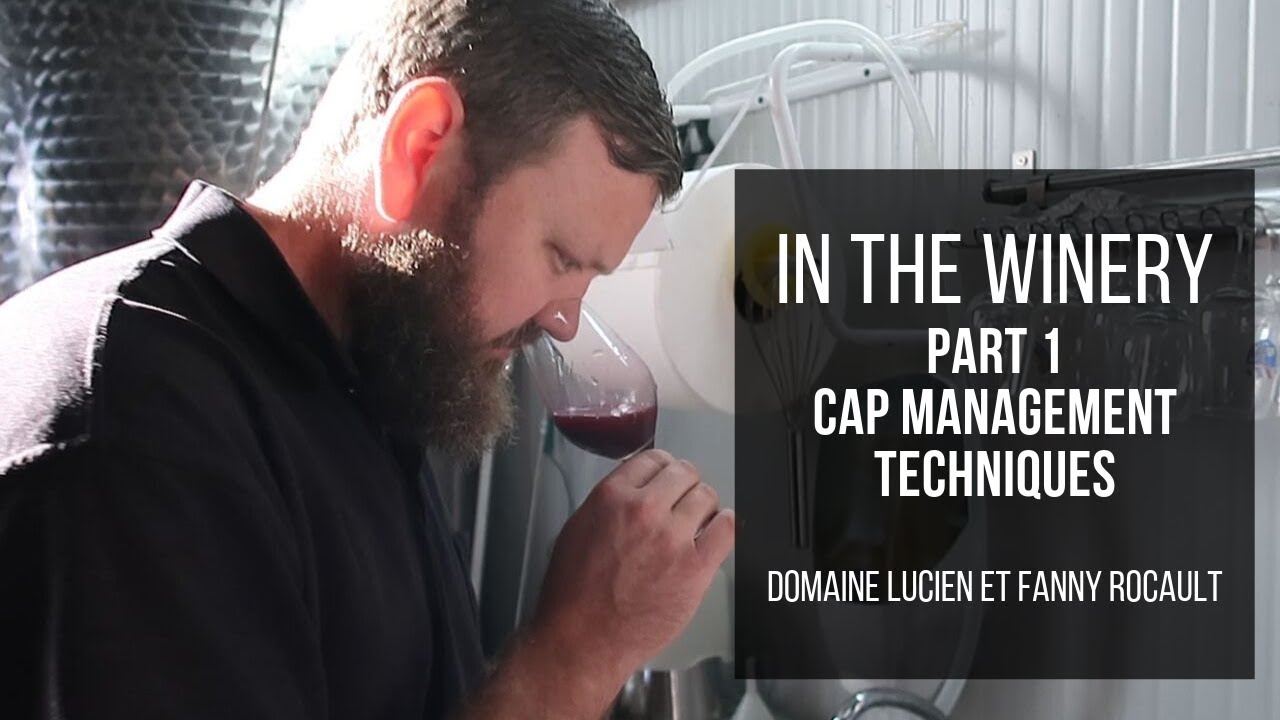 In the Winery - Cap Management Techniques