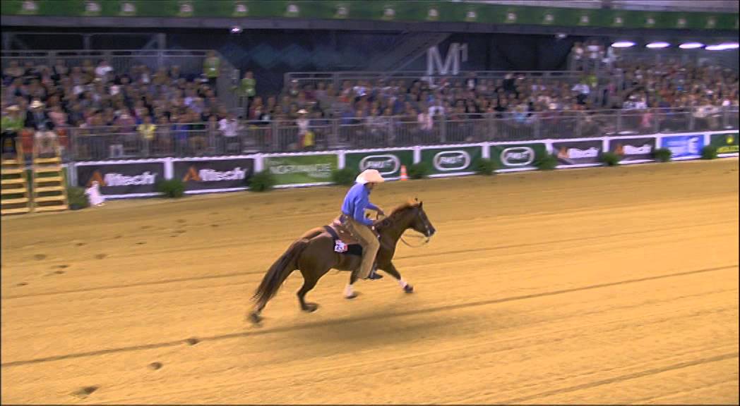 Finale de reining des JEM 2014 : la prestation du français Romuald POARD