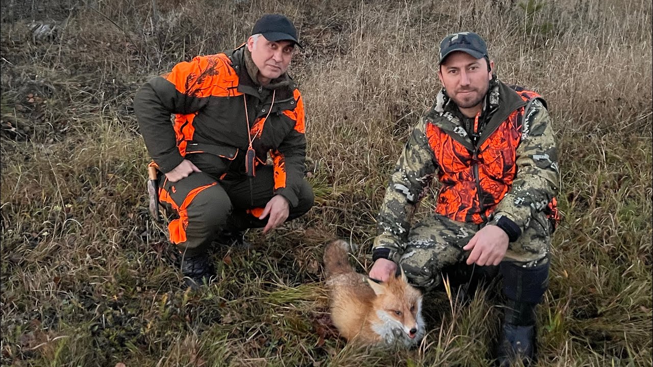 2022/11/12 bu seferki avımızda  nasipte tilki varmış.