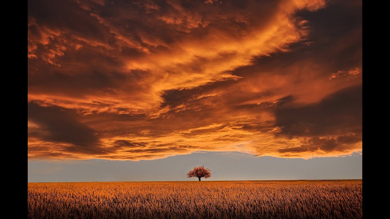 טו' בשבט וארץ ישראל: רפורמים, ציונים וחרדים