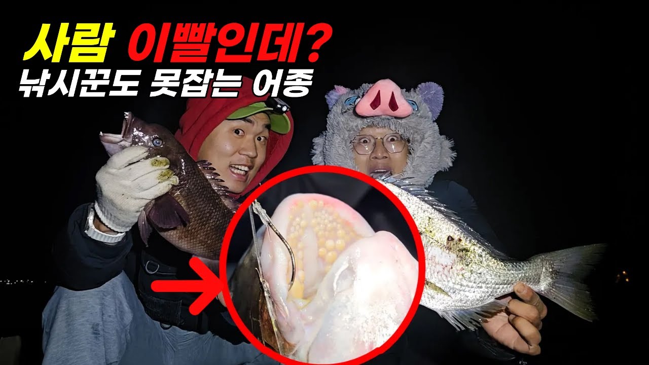 제주도 바닥 찍자마자 낚싯대 뺏길 뻔 했습니다... 입안에 사람 이빨이 있네요 ㄷㄷㄷ