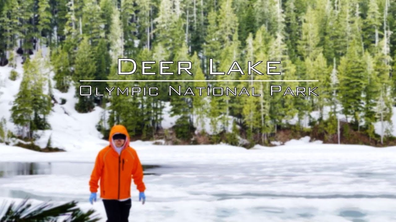 Solo Day Hike to Deer Lake at Olympic National Park - 4K