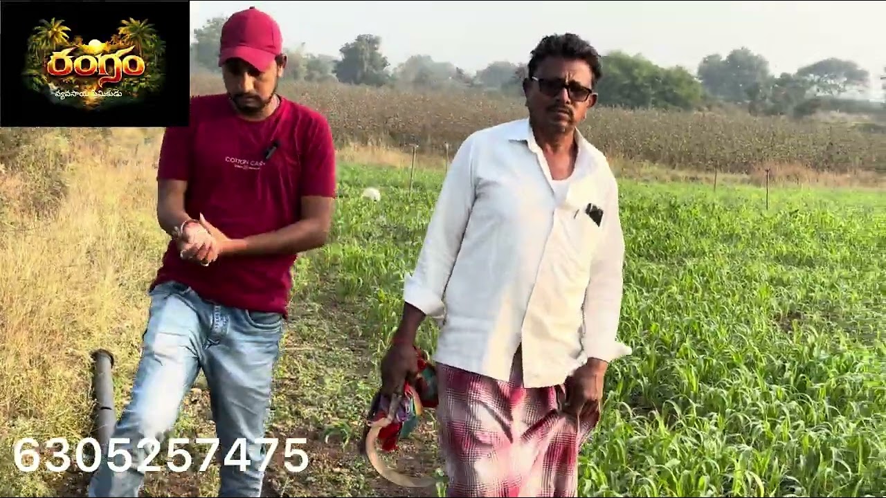 #farming #agriculture #indianrepublicday #share #whowillbemylifepartnerta #indiannationalholiday 