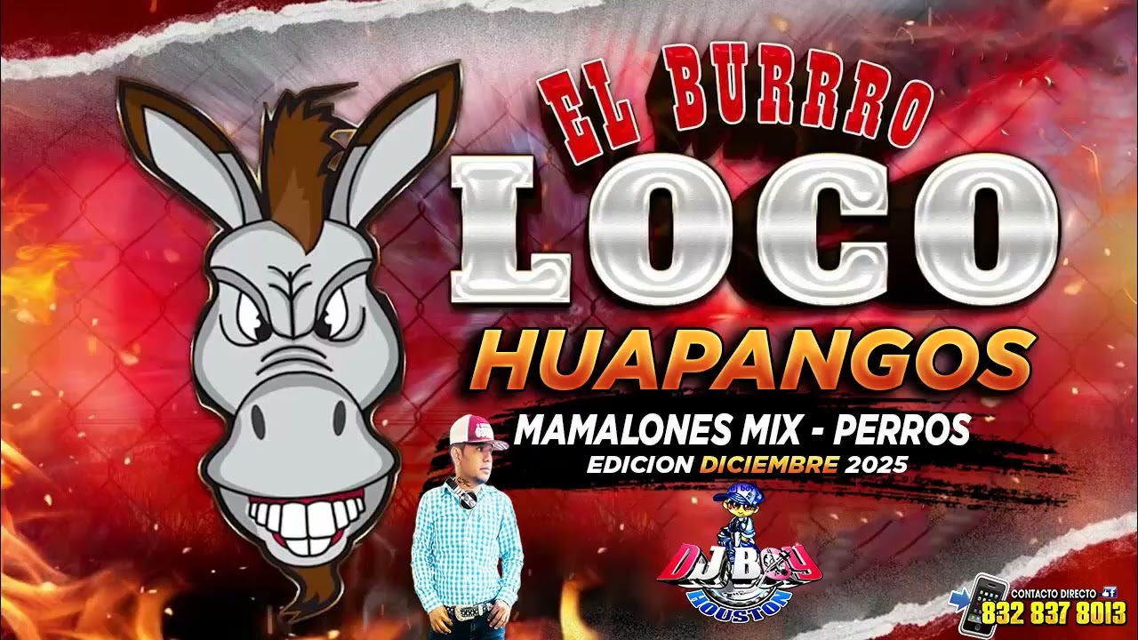 ( ESTRENO ) Huapangos 🔥🫏Perros Mix El Burro Loco Diciembre - 2025 Dj Boy Houston el Original