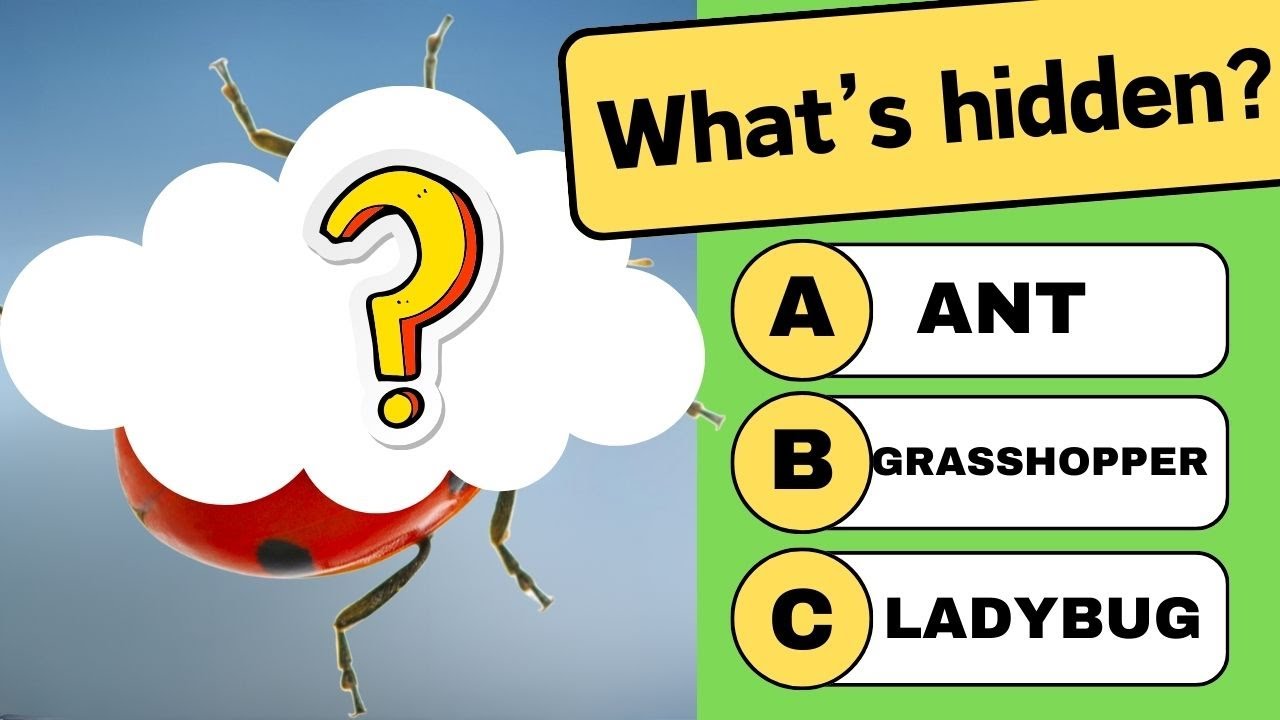 Insect Quiz 🐞🦋 | Midsummer's Day Celebration 🎉 | Bonus Included 😀 | Everyday Challenge 🧠 #quiz #fun
