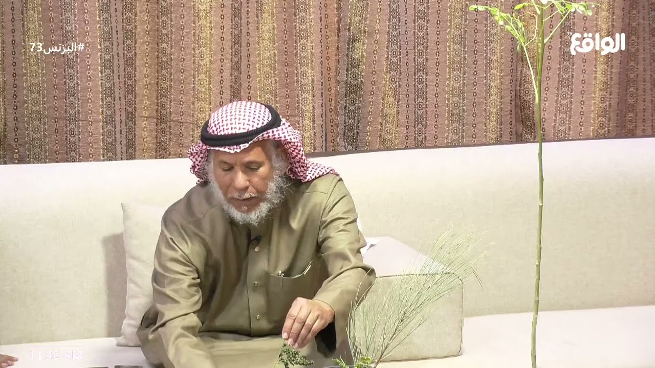 فوائد شجرة المورينقا | أبو محمد #ديوانية_البزنس73