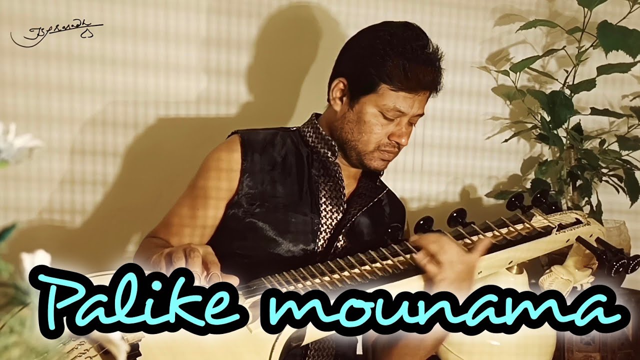 Palike mounama song | veena BhavaniPrasad 