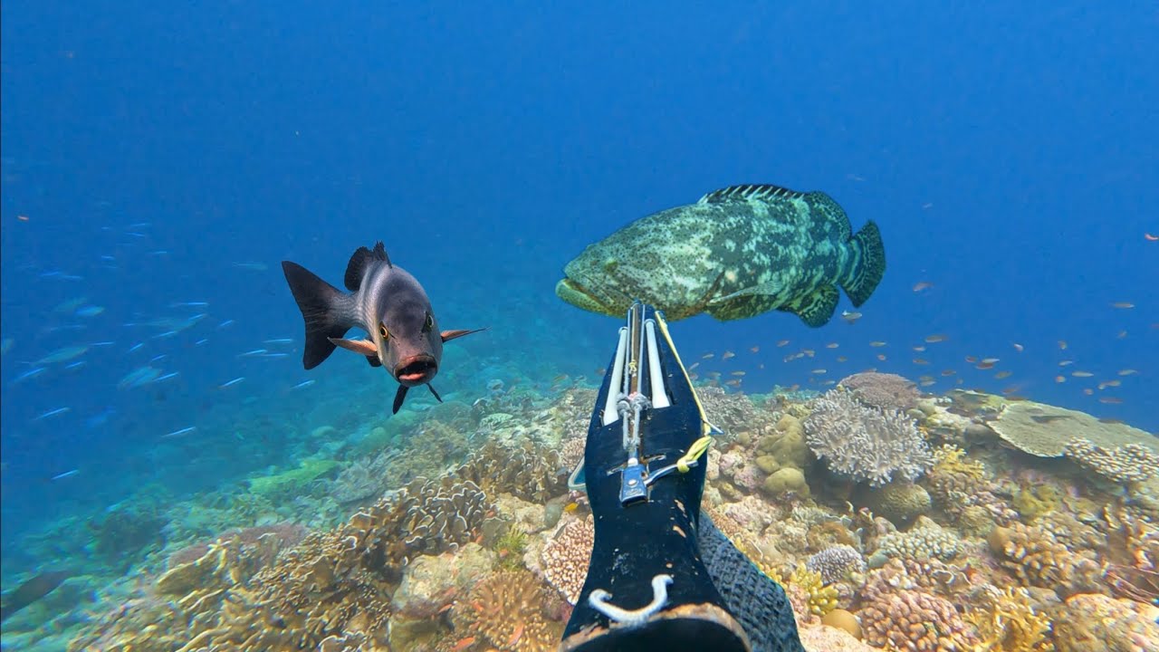 BERBURU 4 HARI | Tantangan Mencari Ikan Monster Untuk Makan