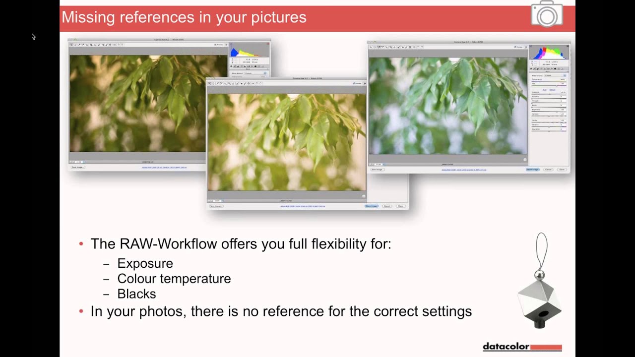 Edit like a Pro - Perfecting your Image Editing Suite