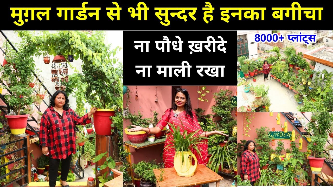 कटिंग के पौधों से तैयार बगीचा 😍 मुगल गार्डन को देता है टक्कर || Unique Farming