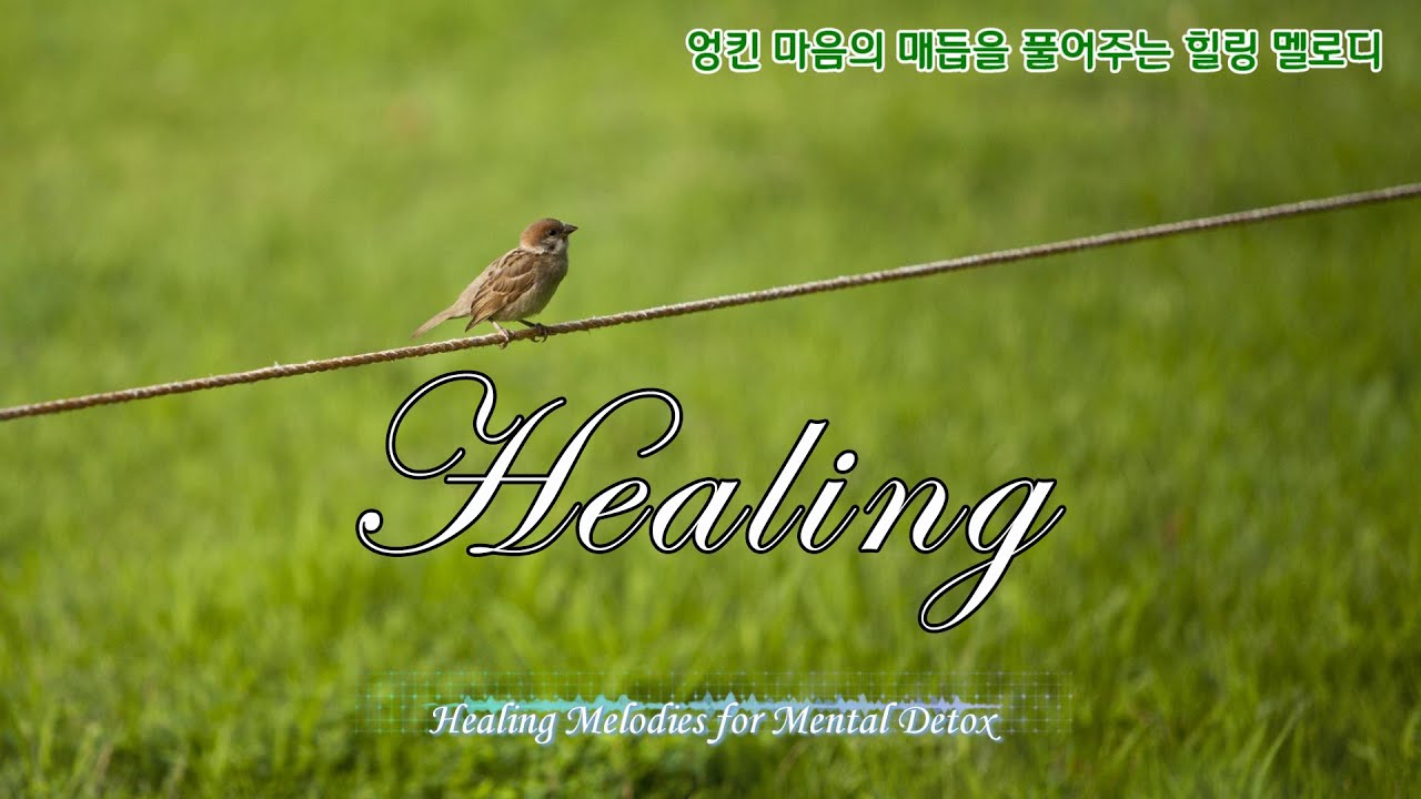 [힐링음악] 엉킨 마음의 매듭을 풀어주는 힐링 멜로디 | Untie the Knots of Your Mind | Mélodies pour l'esprit