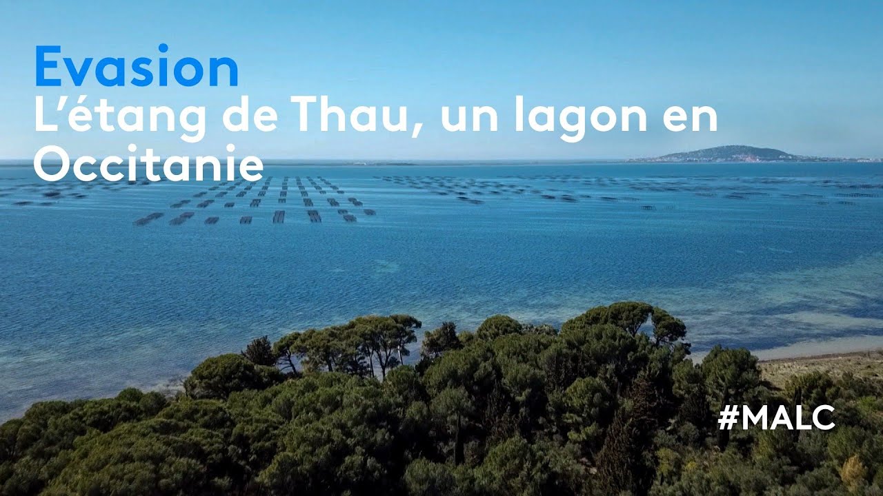 Évasion : l'étang de Thau, un lagon en Occitanie