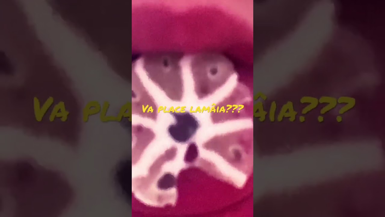 iB= me//lamaie//aurrora//