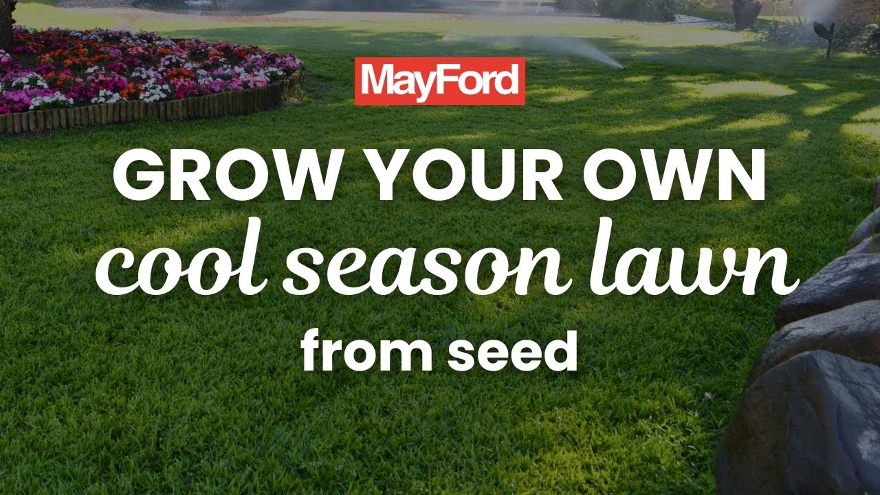 How To Start Your Cool Seasons Lawn From Seed