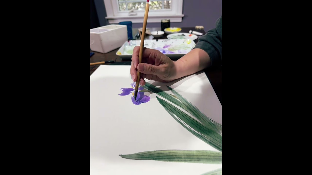Iris brush painting, 鳶尾花 水墨
