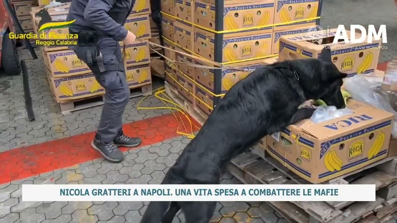 NICOLA GRATTERI A NAPOLI. UNA VITA SPESA A COMBATTERE LE MAFIE