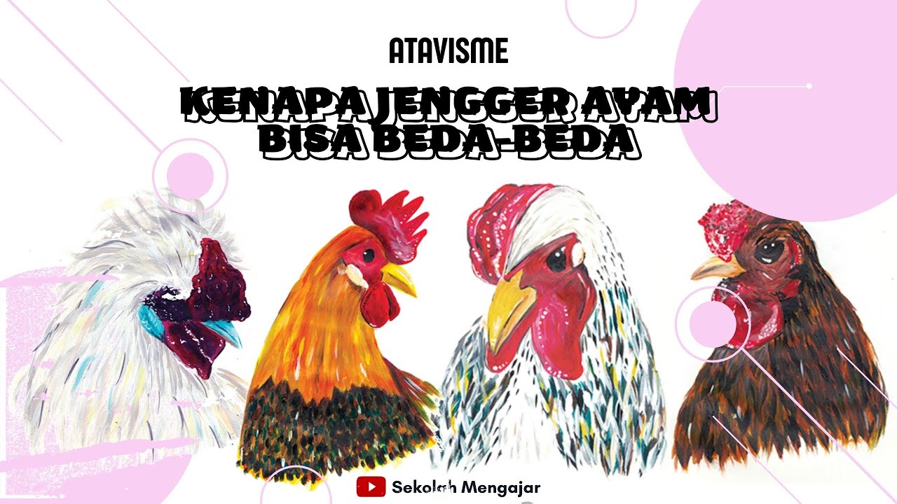 Atavisme Penyimpangan Semu Hukum Mendel - Media Pembelajaran Biologi SMA Kelas XII