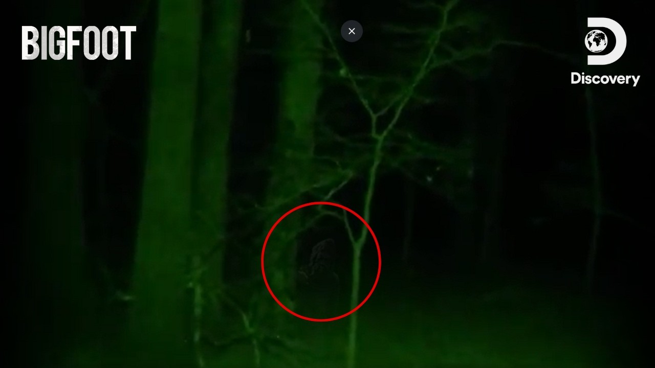 Le yéti du Texas 🏜️ Bigfoot