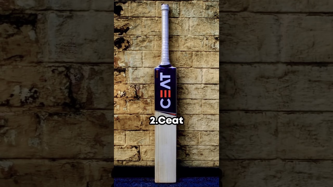10 Popular Bats🏏 in India!