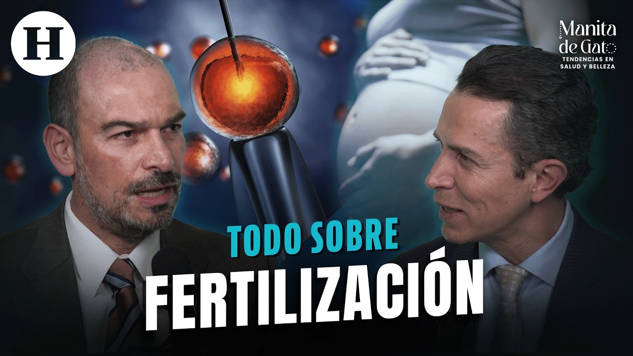 In vitro, congelar óvulos y más: lo que debes saber sobre los tratamientos actuales | Manita de Gato