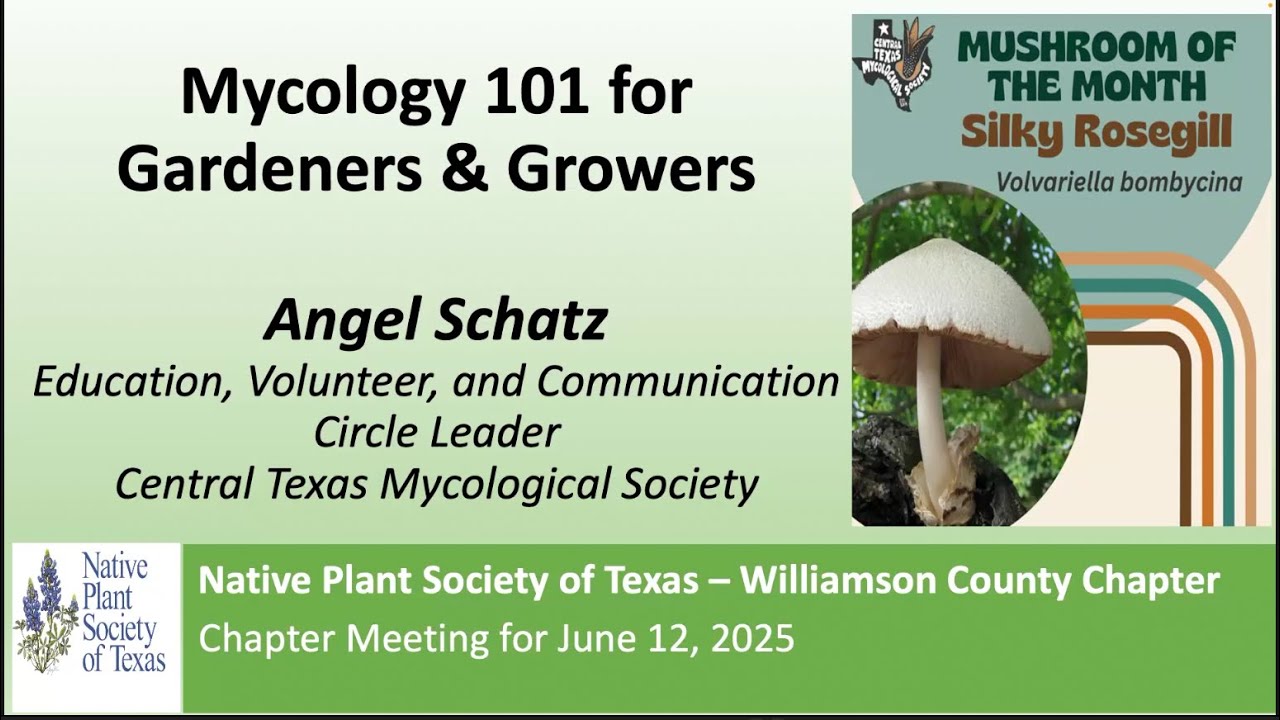 Jun 2025: Mycology 101 for Gardeners & Growers w/Angel Schatz