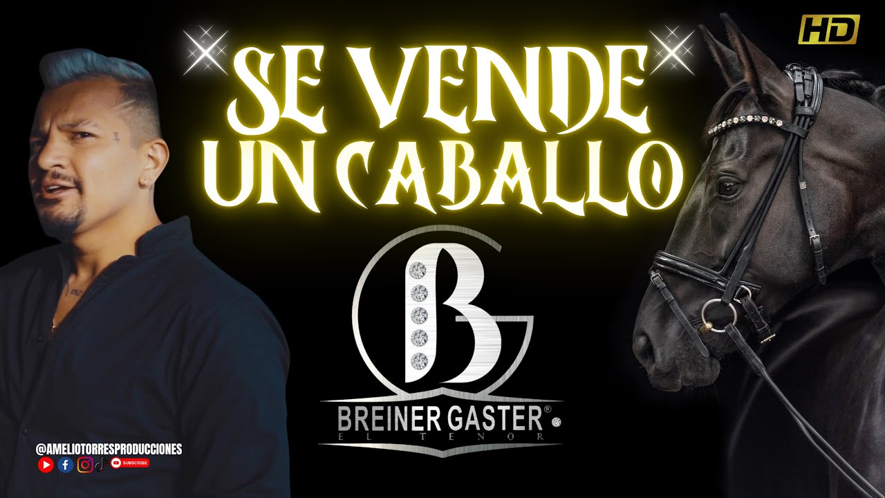 Se vende un caballo I Breiner Gaster El Tenor I Cabalgatas #caballos ​⁠@BreinerGasterElTenor