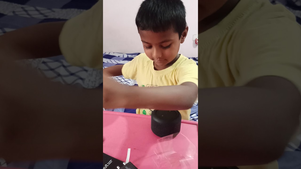 Alexa Echo Input  Portable