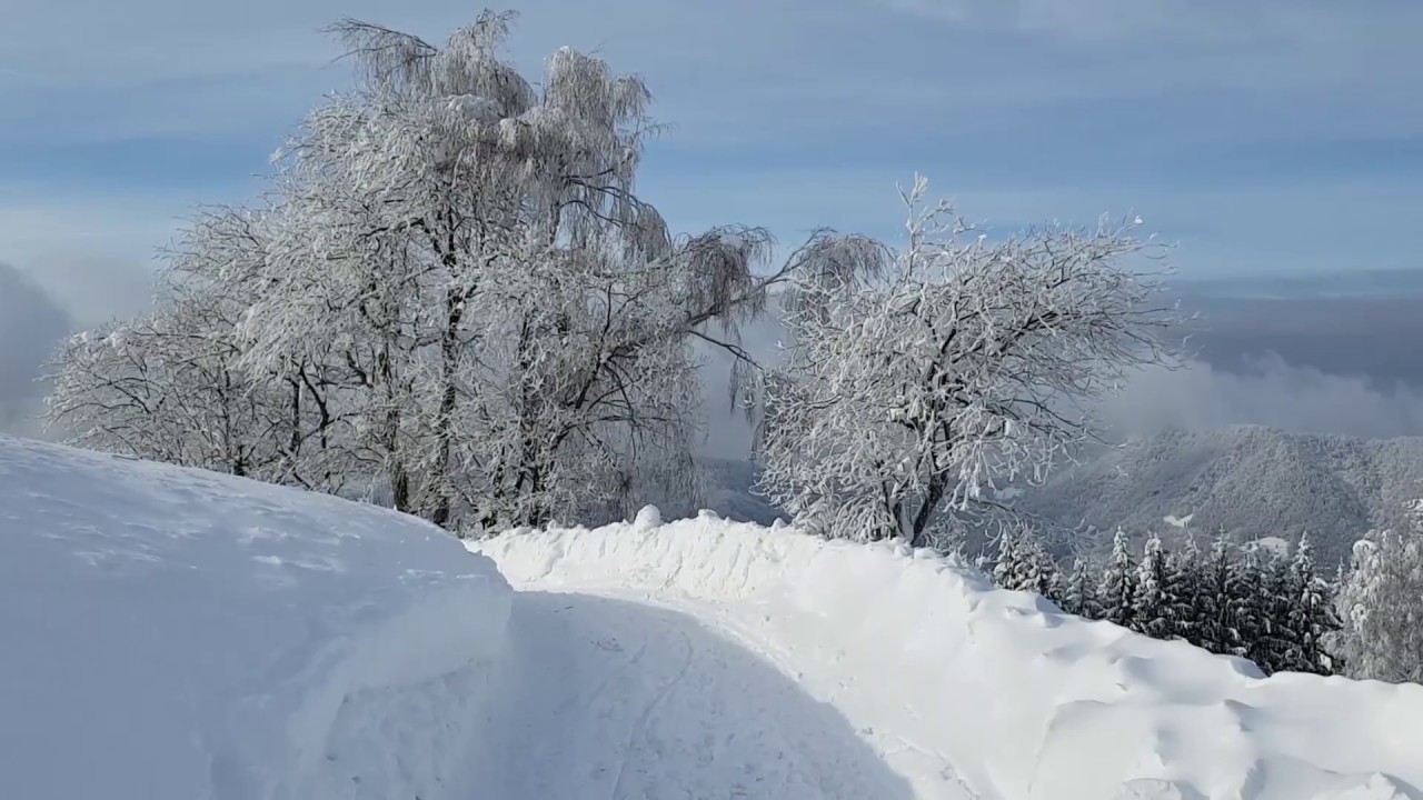 MRZLICA nad Trbovljami