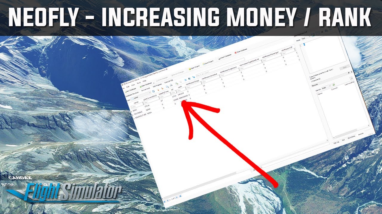 Neofly - How to add Money/Change Rank/Add Type Ratings via Database | Microsoft Flight Simulator