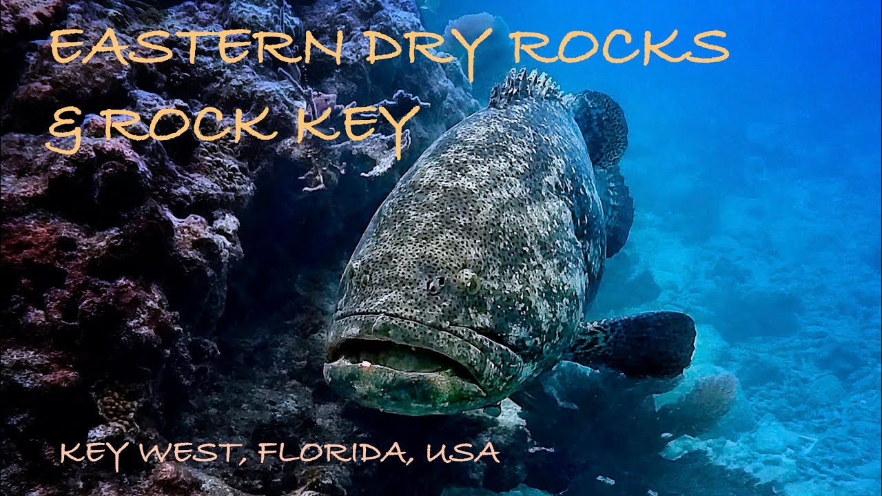 Scuba Diving Key West, Florida, USA (Eastern Dry Rocks & Rock Key)