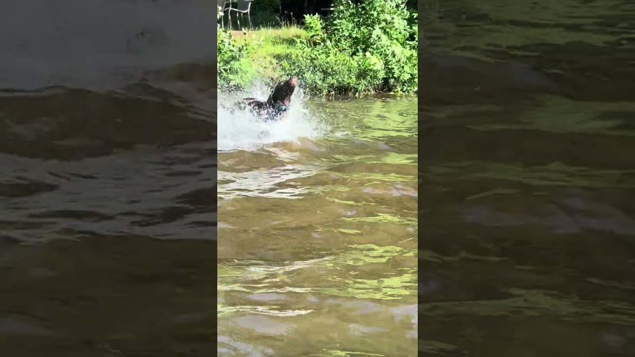 GSP’s running in water
