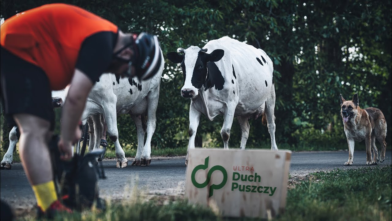 Ultra Duch Puszczy 2024 Najpiękniejszy Ultramaraton Kolarski w Polsce 👻