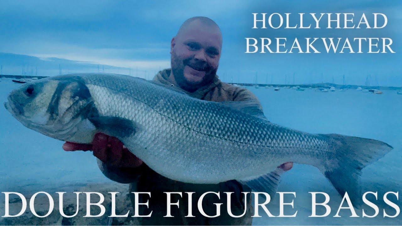 HUGE BASS! Holyhead Breakwater U.K. Sea Fishing