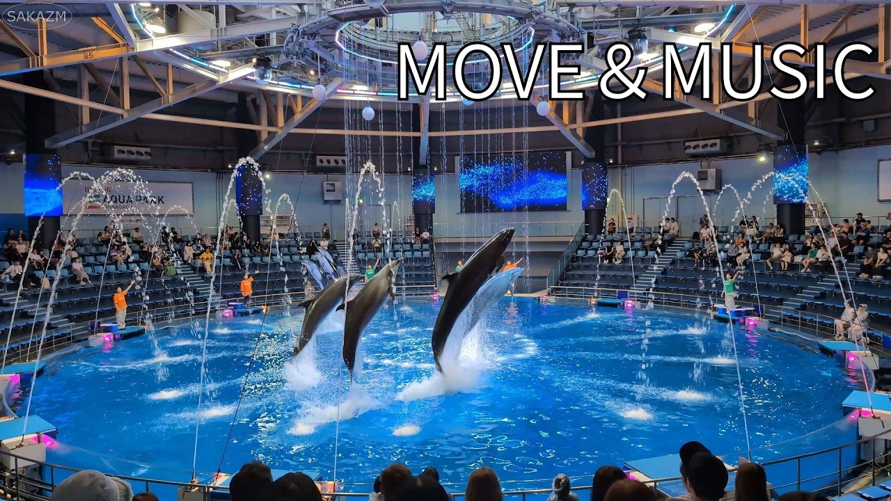 【4K】マクセル アクアパーク品川 2025秋 イルカショー 昼「NAKED MOMIJI AQUARIUM」ドルフィンパフォーマンス デイver「MOVE＆MUSIC」