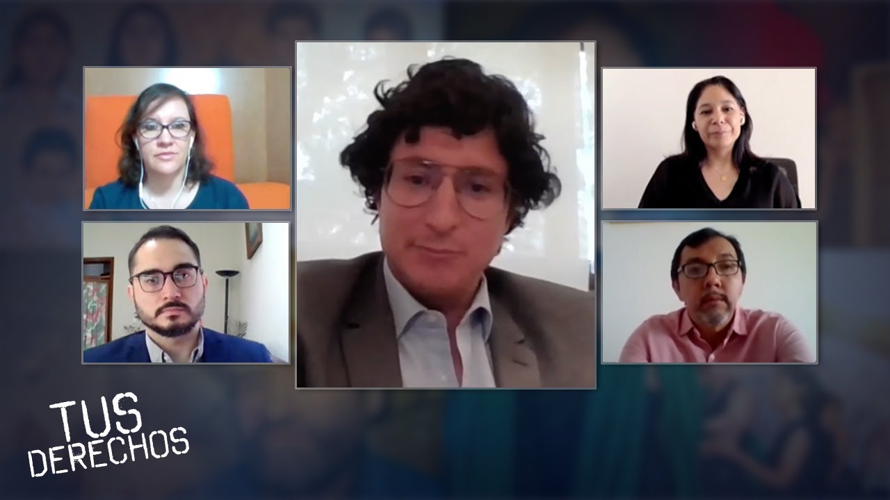 Los principios constitucionales en derechos humanos
