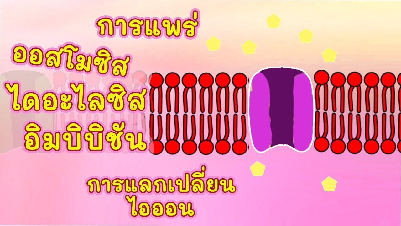 การแพร่ ออสโมซิส ไดอะไลซิส การแลกเปลี่ยนไอออน อิมบิบิชัน